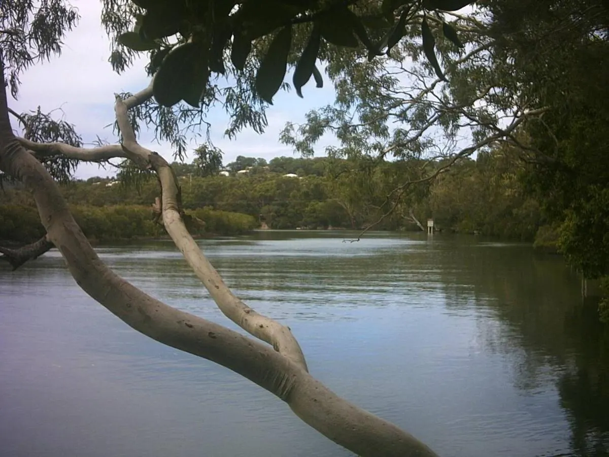 Raes By The River نوسا